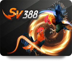 TK88 Uy Tín VN Offers Best Sports Betting Odds